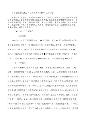 县投资促进局2022年工作总结和2023年工作计划.docx
