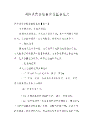 消防及安全检查自检报告范文.docx
