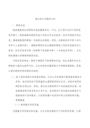 催化剂行业概况分析.docx