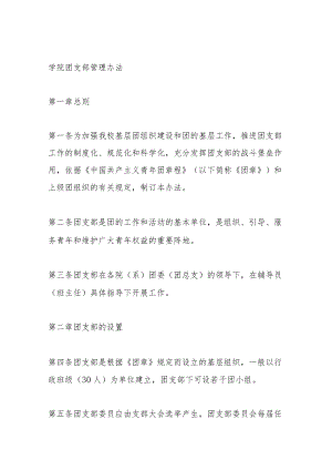 学院团支部管理办法.docx