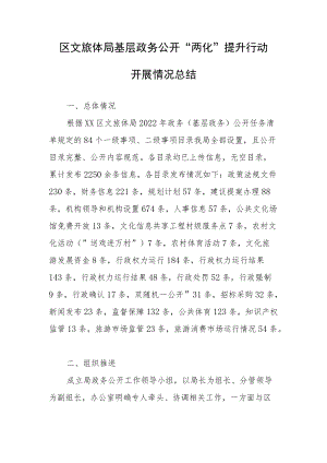区文旅体局基层政务公开两化提升行动开展情况总结.docx