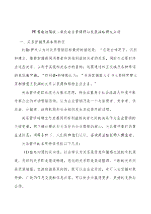 PE蓄电池隔板二氧化硅全景调研与发展战略研究分析.docx