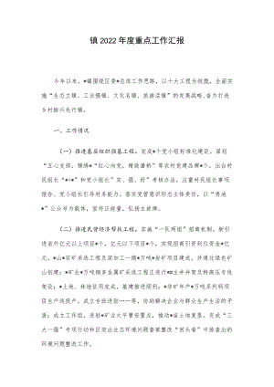 镇2022年度重点工作汇报.docx