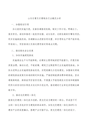 山东石膏及石膏制品行业概况分析.docx