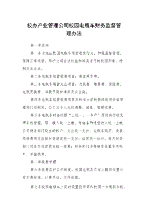 校办产业管理公司校园电瓶车财务监督管理办法.docx