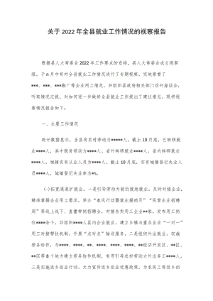 关于2022年全县就业工作情况的视察报告.docx