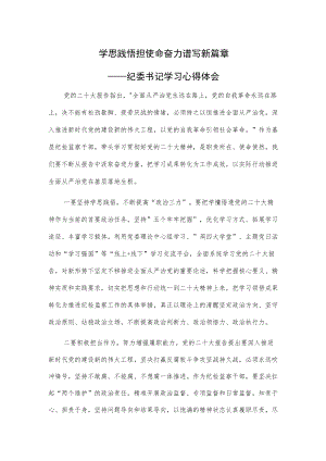 学思践悟担使命 奋力谱写新篇章——纪委书记学习心得体会.docx