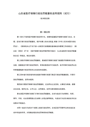山东省医疗保障行政处罚裁量权适用规则（试行）.docx