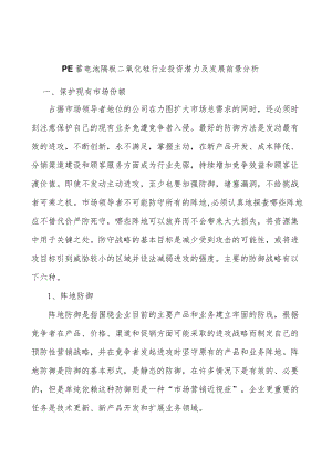 PE蓄电池隔板二氧化硅行业投资潜力及发展前景分析.docx