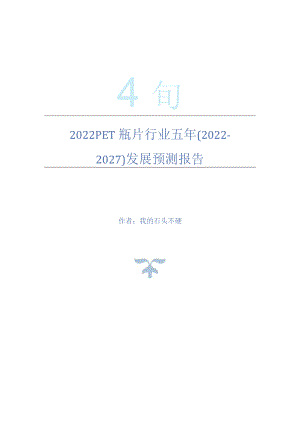 2022年PET瓶片行业五年(2022-2027)发展预测报告.docx