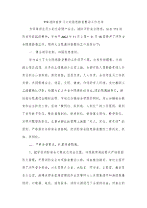 119消防宣传日火灾隐患排查整治工作总结.docx