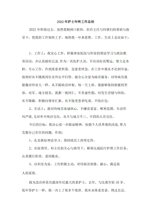 2022年护士个人年终总结 (最适用).docx