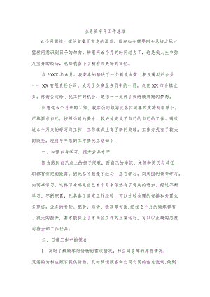 业务员半年工作总结.docx