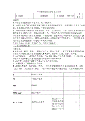 2022版阜阳市医疗服务价格项目目录.docx
