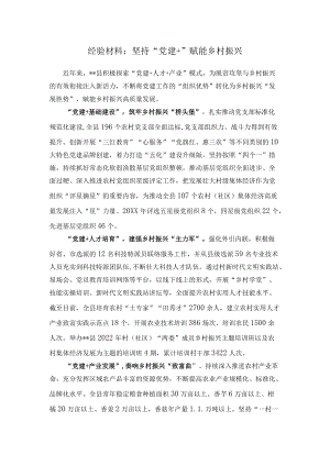 经验材料：坚持“党建+”赋能乡村振兴.docx