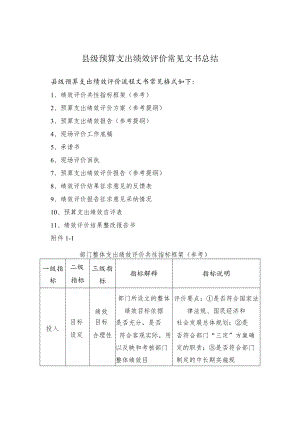 县级预算支出绩效评价常见文书总结.docx