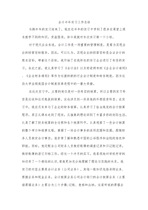 会计半年实习工作总结.docx