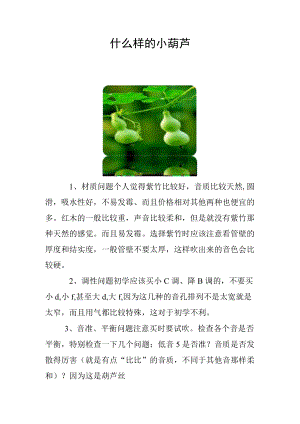 什么样的小葫芦.docx