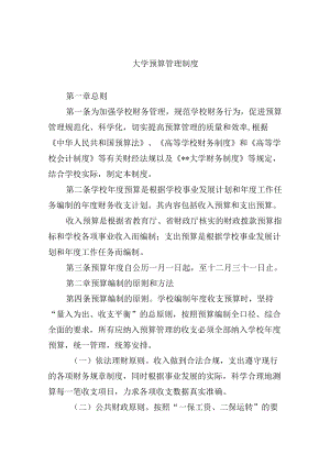 大学预算管理制度.docx