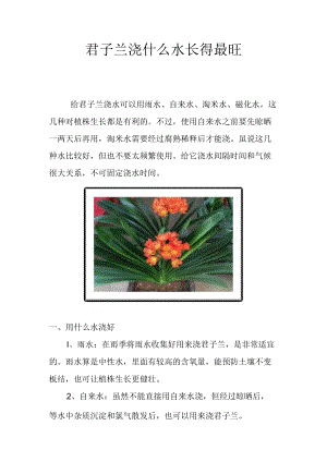 君子兰浇什么水长得最旺.docx