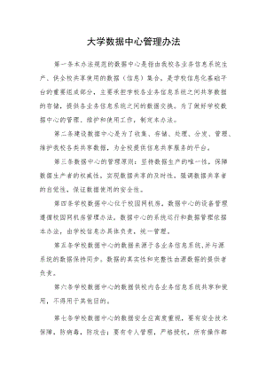 大学数据中心管理办法.docx