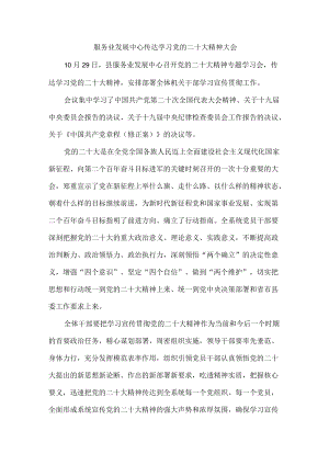学习宣传党的二十大会议精神.docx