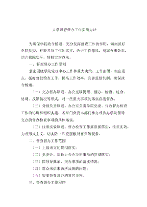 大学督查督办工作实施办法.docx