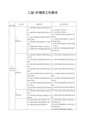 二级-护理师工作要求.docx