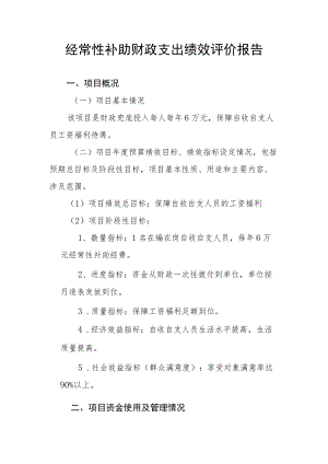 经常性补助财政支出绩效评价报告.docx