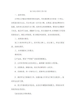 初三班主任的工作计划.docx
