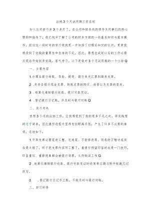 出纳3个月试用期工作总结.docx