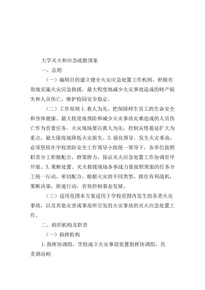 大学灭火和应急疏散预案.docx