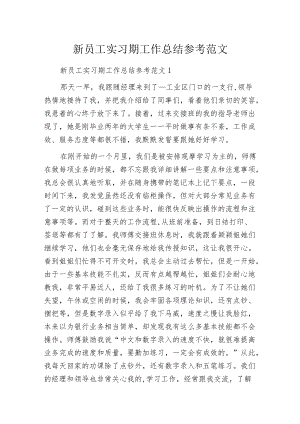 新员工实习期工作总结参考范文.docx