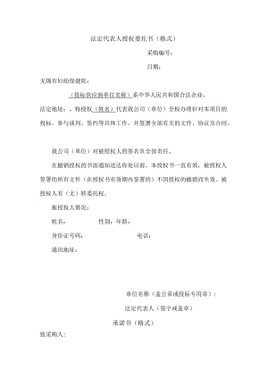 法定代表人授权委托书格式.docx