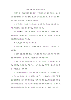 销售部科员试用期工作总结.docx
