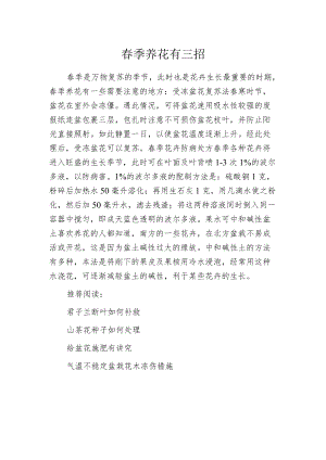 春季养花有三招.docx