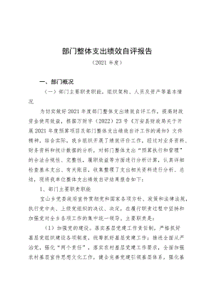 部门整体支出绩效自评报告(6).docx