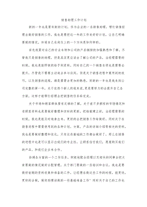 销售助理工作计划.docx