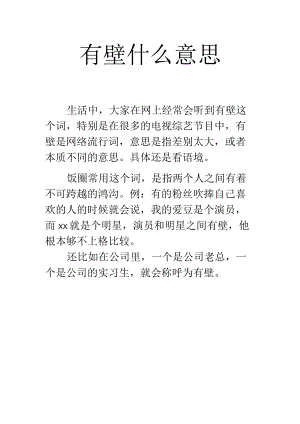 有壁什么意思.docx