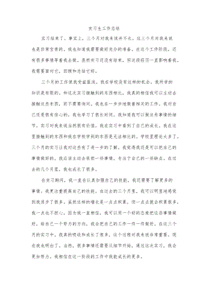 实习生工作总结.docx