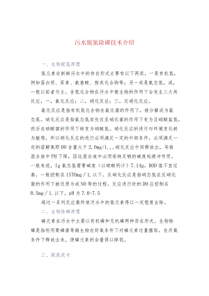 污水脱氮除磷技术介绍.docx
