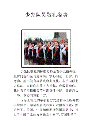 少先队员敬礼姿势.docx