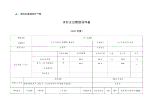 项目支出绩效自评表项目支出绩效自评表.docx