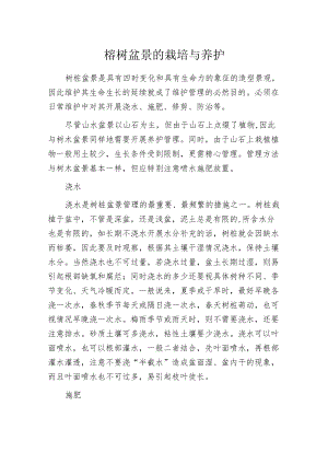 榕树盆景的栽培与养护.docx