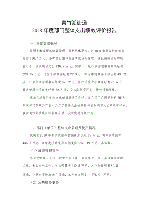 青竹湖街道2018年度部门整体支出绩效评价报告.docx