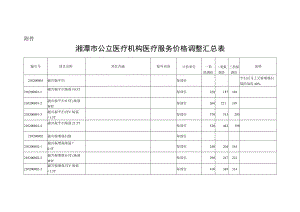 湘潭市公立医疗机构医疗服务价格调整汇总表（2022年11月1日起实施）.docx