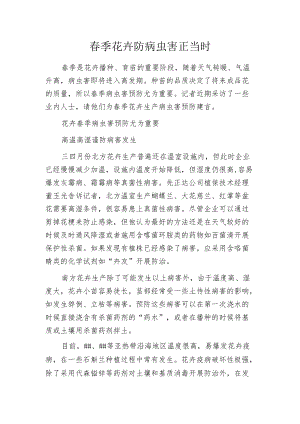 春季花卉防病虫害正当时.docx
