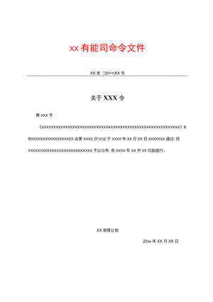 有限公司命令文件.docx