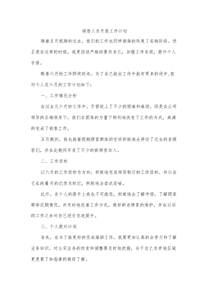 销售人员月度工作计划.docx