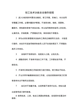 钳工技术训练安全操作规程.docx